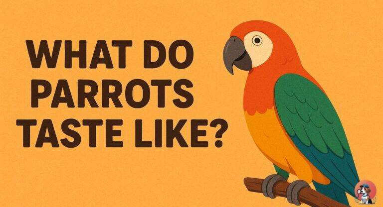 What Do Parrots Taste Like