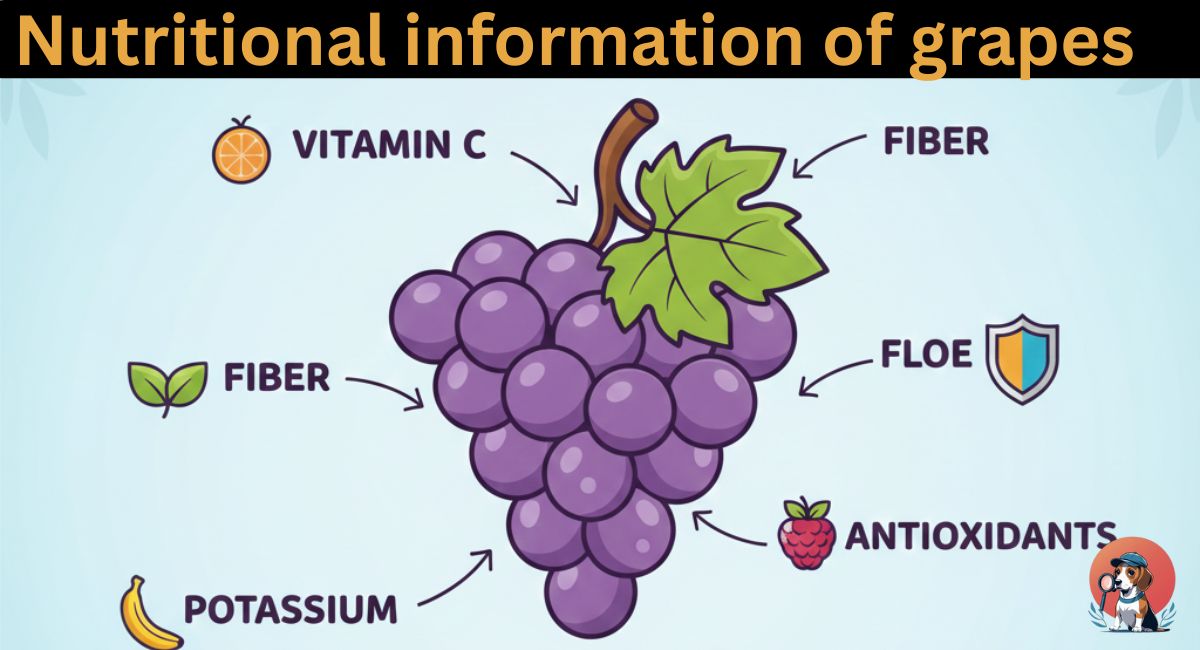 Nutritional information of grapes